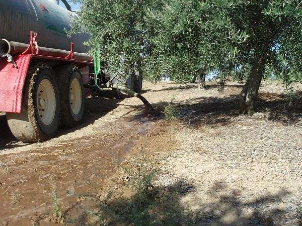 Gestão de resíduos líquidos procedentes dos lagares mediante a sua aplicação a fazendas de olivais