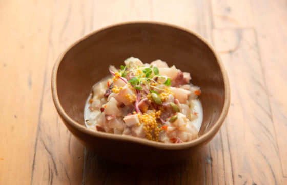 CEVICHE DE PEIXE