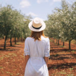 Olivoturismo na Espanha: o prazer de viajar a negócios ou lazer e degustar azeites de oliva