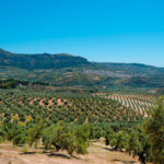 Imagem Andalucia de cima