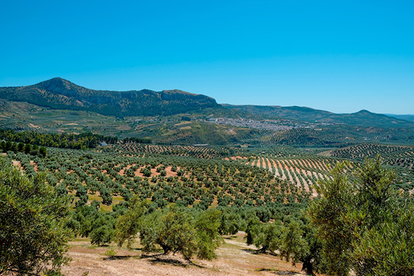 Imagem Andalucia de cima
